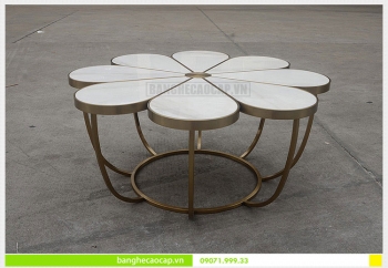 Bàn sofa mặt đá White Flower AIBG 011